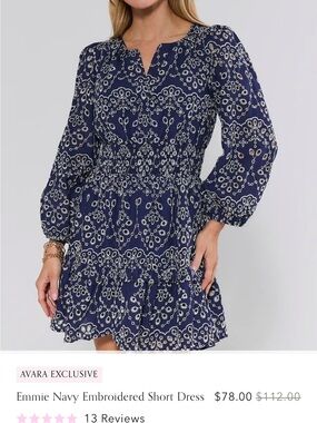 Emmie Navy Embroidered Mini Dress